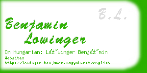 benjamin lowinger business card